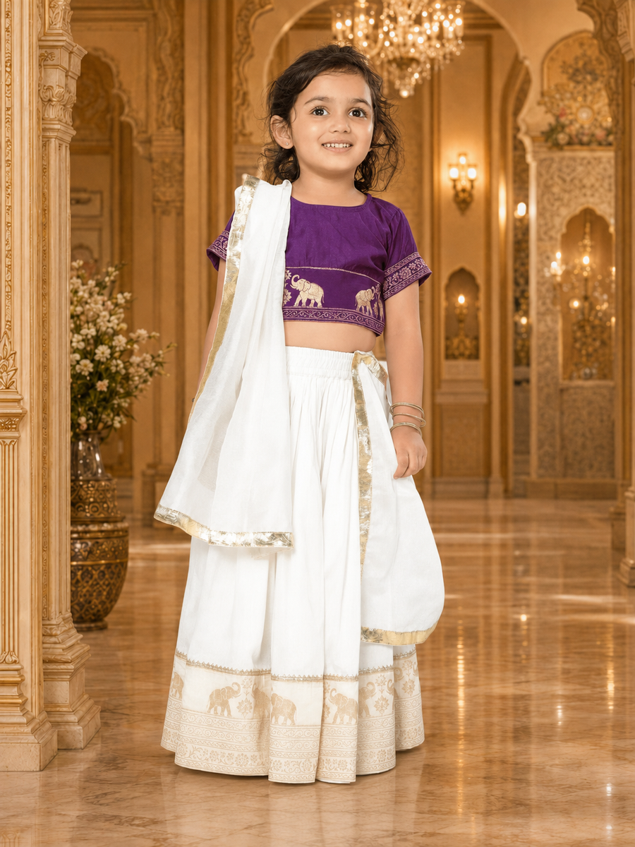 Traditional Indian ethnic dress for girls in Canada