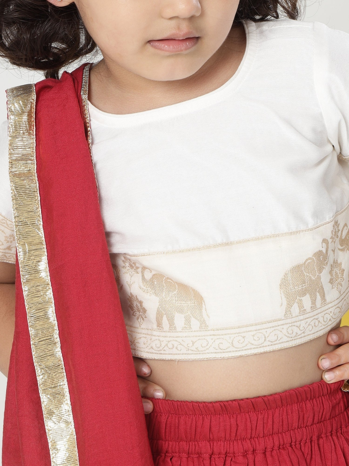 Red Elephant Zari Embroidery Chanderi Cotton Lehenga with Stitched Cream Blouse Set