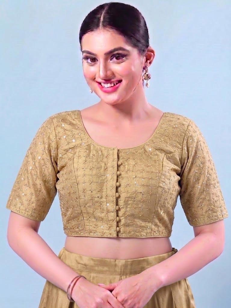 Golden beige embordered  Saree Blouse