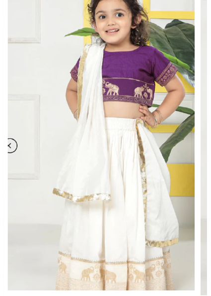 Cream Elephant Zari Embroidery Chanderi Cotton Lehenga with Stitched Purple blouse Set